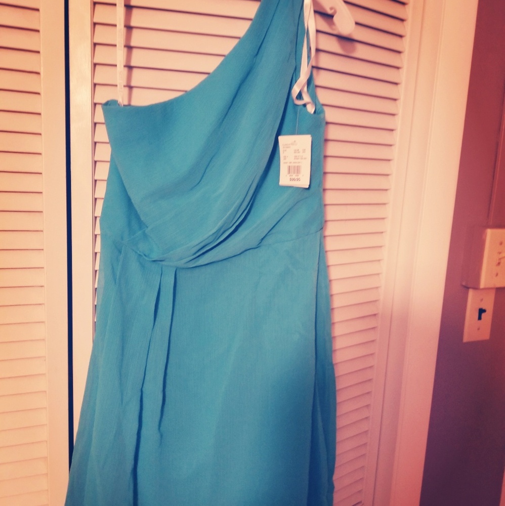 David's Bridal Malibu Bridesmaid dress